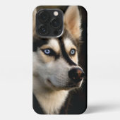 Mooi Husky Sierkussen iPhone Hoesje (Achterkant)