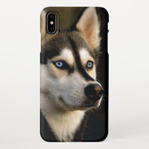 Mooi Husky Sierkussen iPhone XS Max Hoesje