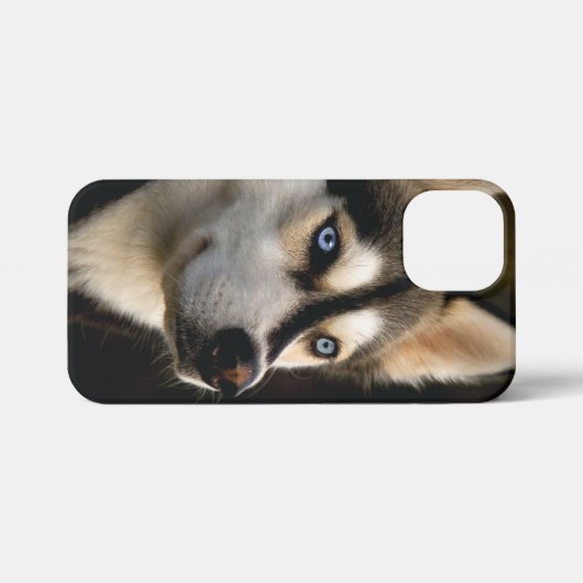 Mooi Husky Sierkussen iPhone Hoesje (Achterkant horizontaal)