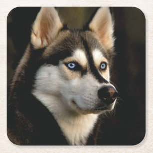 Mooi Husky Sierkussen Kartonnen Onderzetters
