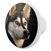 Mooi Husky Sierkussen Keramische Knop (Rechts)