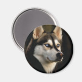 Mooi Husky Sierkussen Magneet (Voorkant / Achterkant)