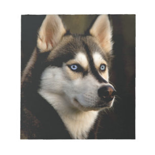 Mooi Husky Sierkussen Notitieblok