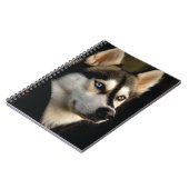 Mooi Husky Sierkussen Notitieboek (Linkerzijde)