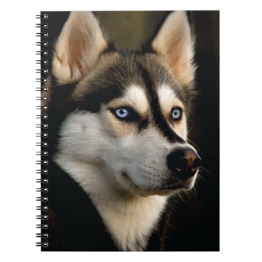 Mooi Husky Sierkussen Notitieboek (Voorkant)