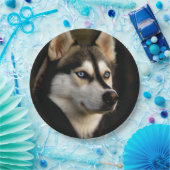 Mooi Husky Sierkussen Papieren Bordje (Feest)