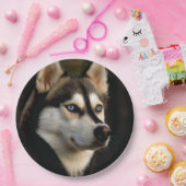 Mooi Husky Sierkussen Papieren Bordje (Feest)