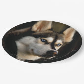 Mooi Husky Sierkussen Papieren Bordje (Gekanteld)
