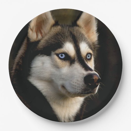 Mooi Husky Sierkussen Papieren Bordje (Voorkant)