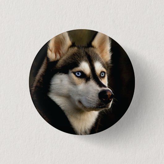 Mooi Husky Sierkussen Ronde Button 3,2 Cm (Voorkant)