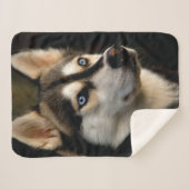 Mooi Husky Sierkussen Sherpa Deken (Voorkant (horizontaal))