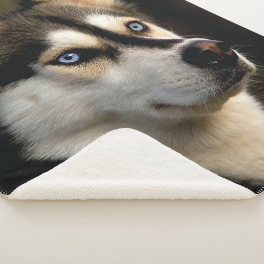 Mooi Husky Sierkussen Sherpa Deken (3/4)