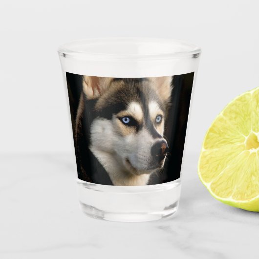 Mooi Husky Sierkussen Shot Glas (Voorkant)