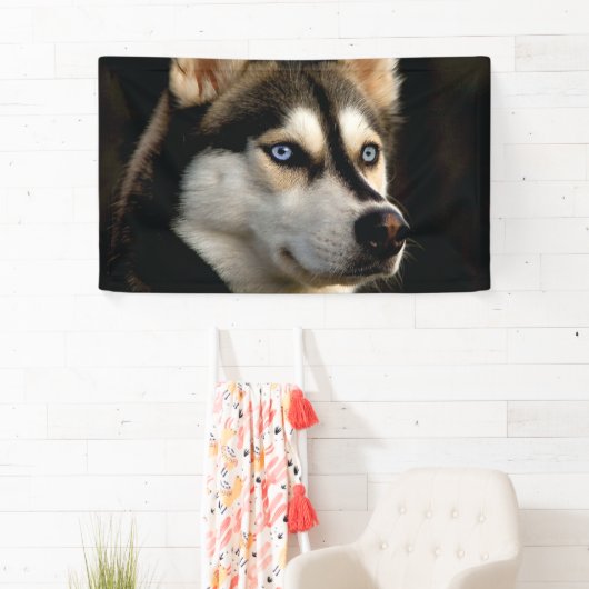Mooi Husky Sierkussen Spandoek (Insitu)