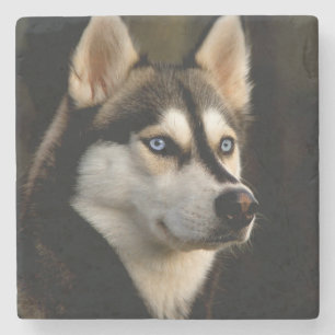 Mooi Husky Sierkussen Stenen Onderzetter