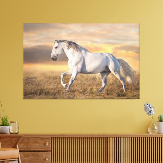 Mooi Iberisch Paard in de wei bij zonsondergang Canvas Afdruk (Insitu (Woonkamer))