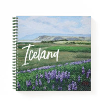 Mooi IJslands landschap olieverfschilderij beelden