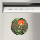 Mooi in de lente..... magneet (Insitu (Vaatwasser))