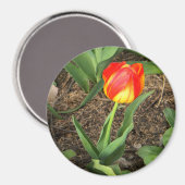 Mooi in de lente..... magneet (Voorkant / Achterkant)