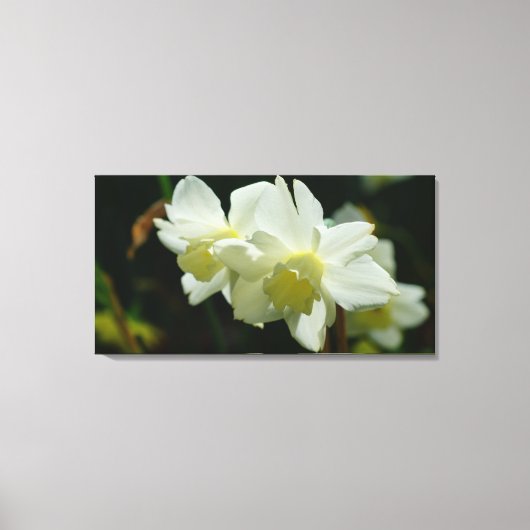 Mooi in het wit canvas afdruk (Voorkant)