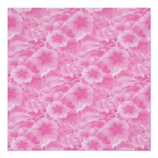Mooi in Roze. Poster (Voorkant)
