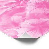 Mooi in Roze. Poster (Hoek)