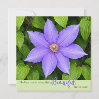 Mooi in Zijn Tijd | Paarse Clematis