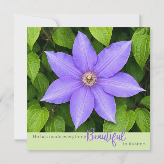 Mooi in Zijn Tijd | Paarse Clematis (Voorkant)