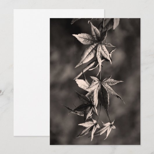 Mooi Japans leder lef-portret Sepia Feestdagenkaart (Voorkant / Achterkant)