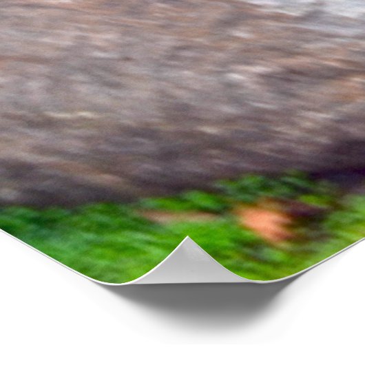 Mooi Japans Tuin Afbeelding Poster (Hoek)