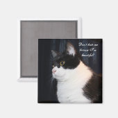 Mooi kat Magnet (Voorkant / Achterkant)