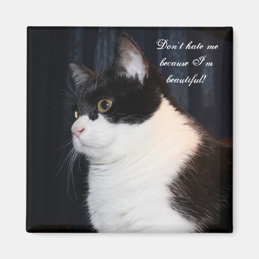 Mooi kat Magnet (Voorkant)