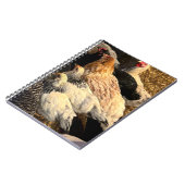 Mooi Kippen Notitieboek (Linkerzijde)