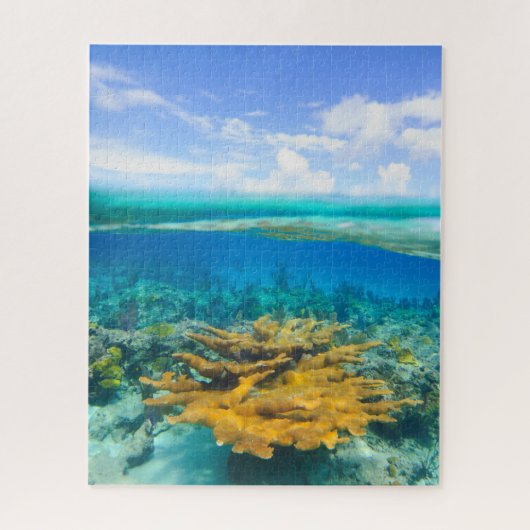 Mooi koraalrif boven en onder de puzzle van Jigzaa Legpuzzel (Verticaal)
