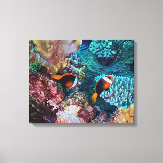 Mooi koraalrif met vis canvas afdruk (Voorkant)