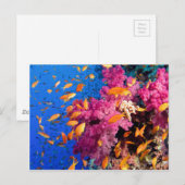 Mooi koraalrif Naturescape Briefkaart (Voorkant / Achterkant)