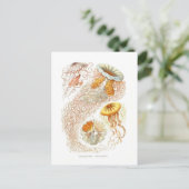 Mooi kwal Briefkaart (Staand voorkant)