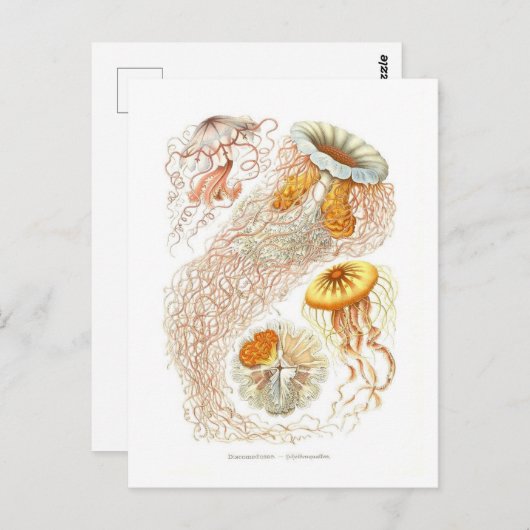 Mooi kwal Briefkaart (Voorkant / Achterkant)