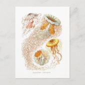 Mooi kwal Briefkaart (Voorkant)