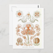 Mooi kwal Briefkaart (Voorkant / Achterkant)