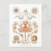 Mooi kwal Briefkaart (Voorkant)