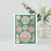 Mooi kwal Briefkaart (Staand voorkant)