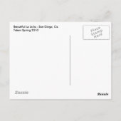 Mooi La Jolla Briefkaart (Achterkant)