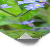 Mooi Ladybug op Vergeet-me-niet Poster (Hoek)