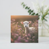 Mooi lam (Staand voorkant)