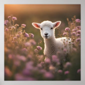 Mooi lam poster (Voorkant)