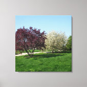 Mooi landschap en bomen canvas afdruk (Voorkant)