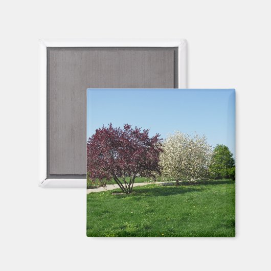 Mooi landschap en bomen magneet (Voorkant / Achterkant)