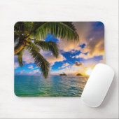 Mooi Lanikai Beach Hawaii Muismat (Met muis)