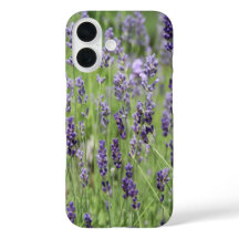 Mooi Lavender